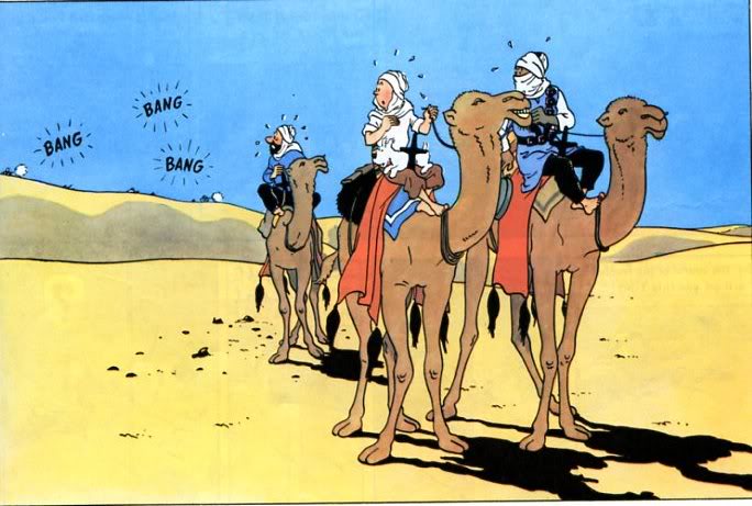 camels066