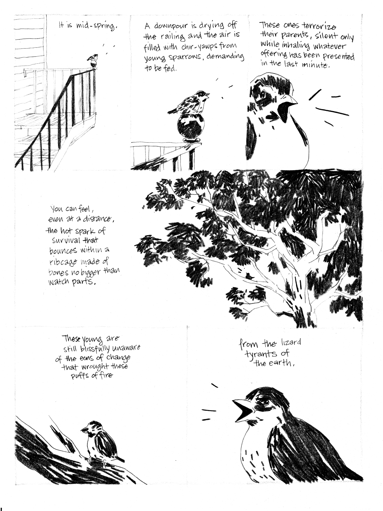 In Pieces: Someplace Which I Call Home (2/4) - Page 2